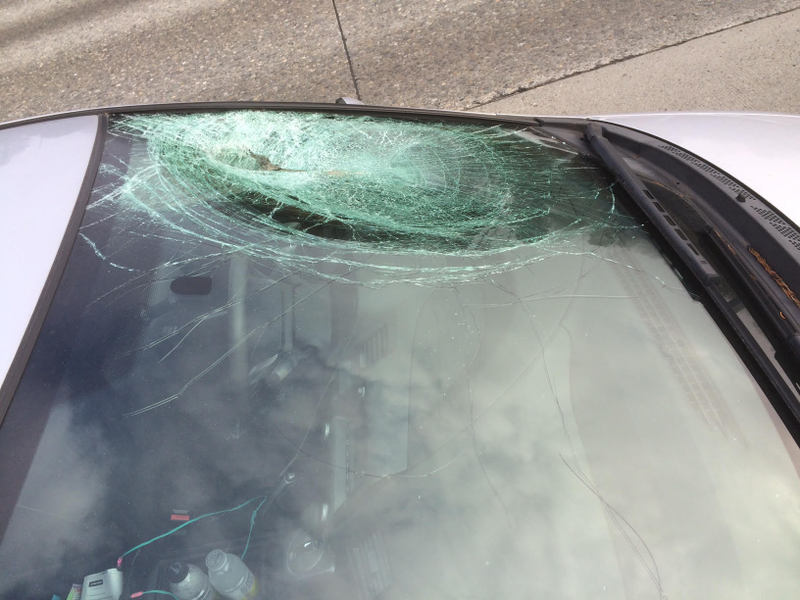 Illustration for article titled A Bird Flew Into This Woman's Windshield and Almost Murdered Her